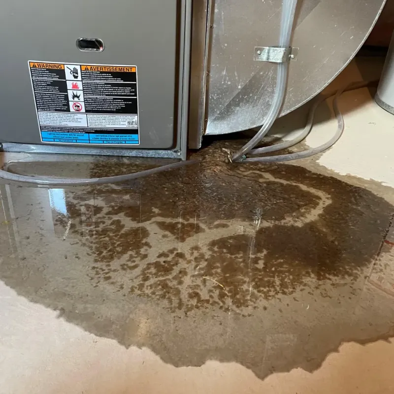 Appliance Leak Cleanup in Opelika, AL